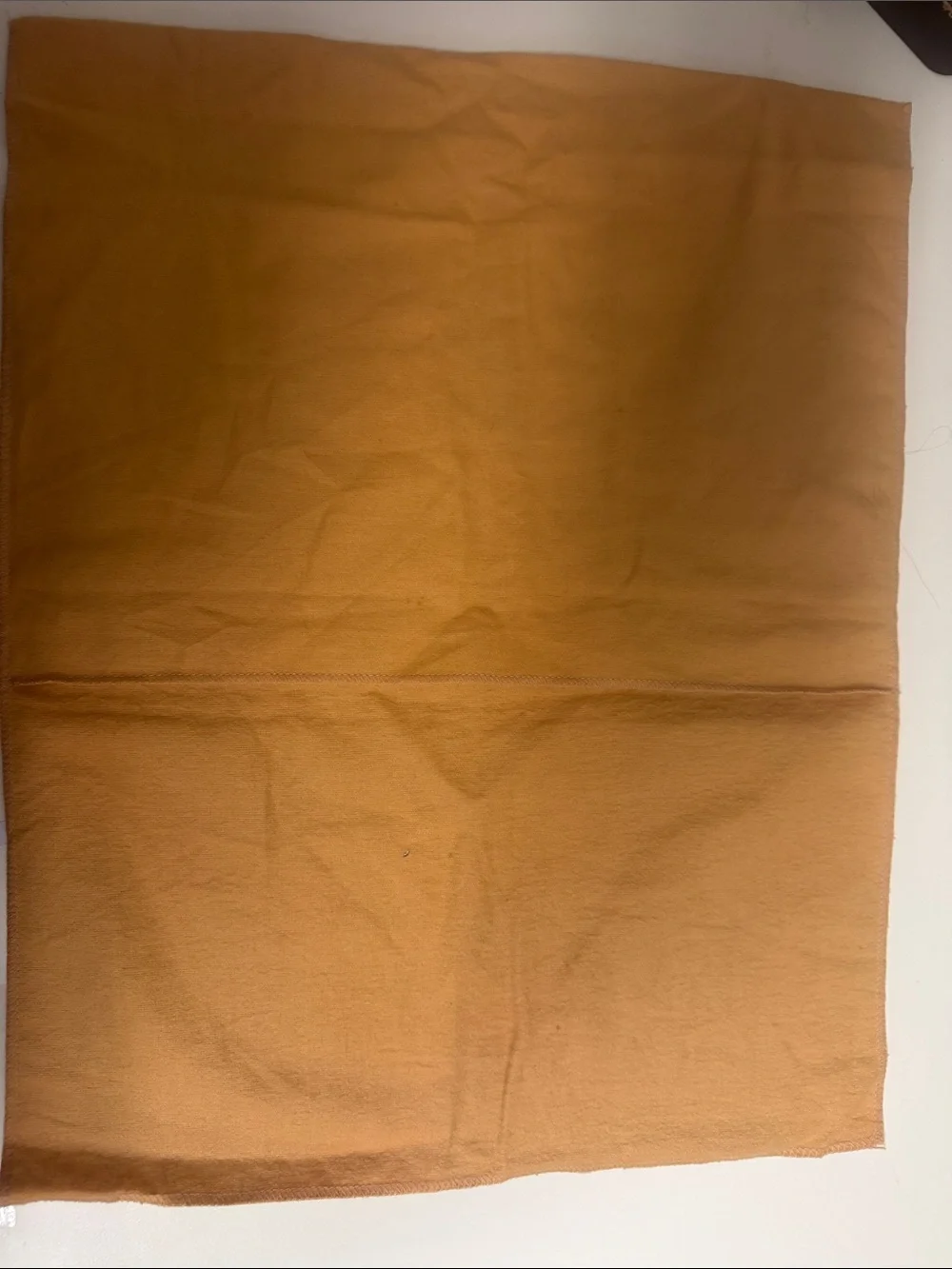 Louis Vuitton dust bag